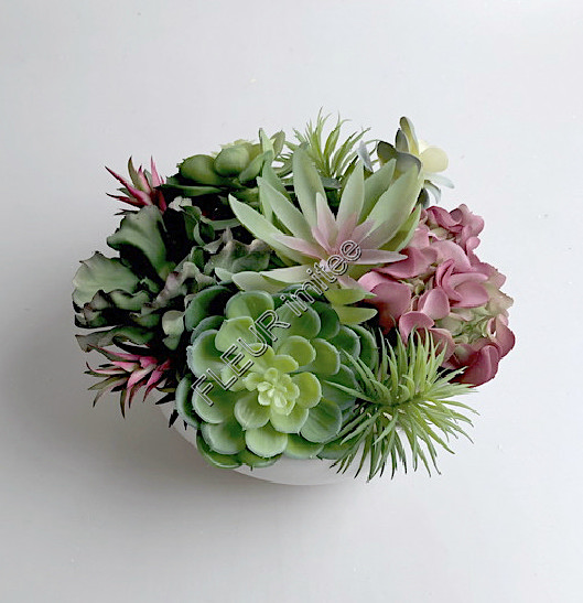 Mísa sukulenty 28x17cm