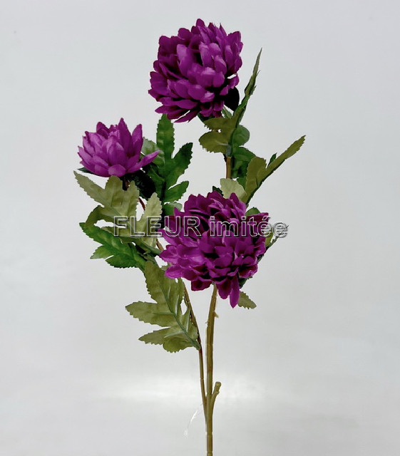 Chryzantéma x3 50cm 48/480