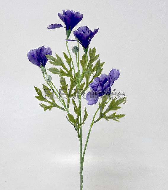 Iris x4 57cm latex list 24/240