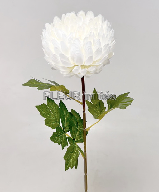 Chryzantéma x1 64cm 48/288