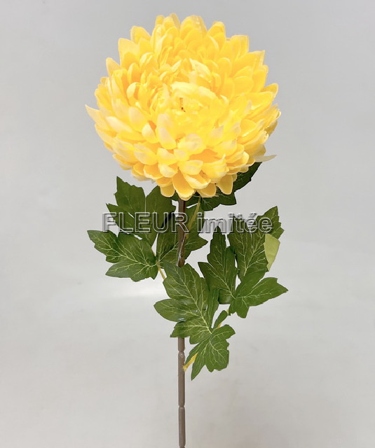 Chryzantéma x1 64cm 48/288