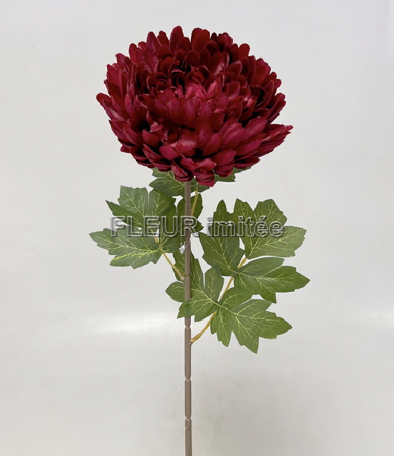 Chryzantéma x1 64cm 48/288