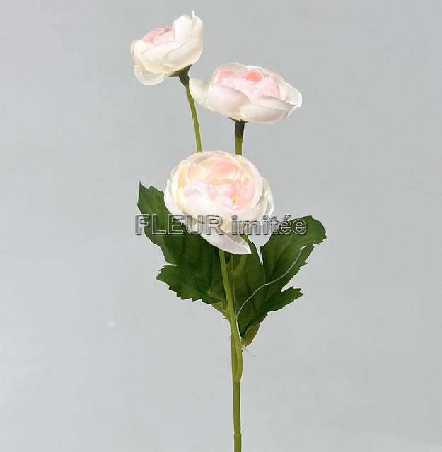 Ranunculus záp.31cm 36/288