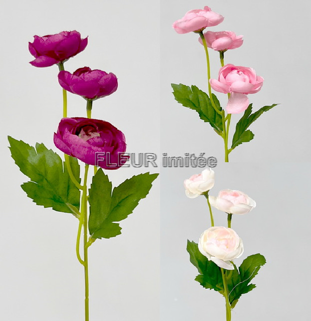 Ranunculus záp.31cm 36/288