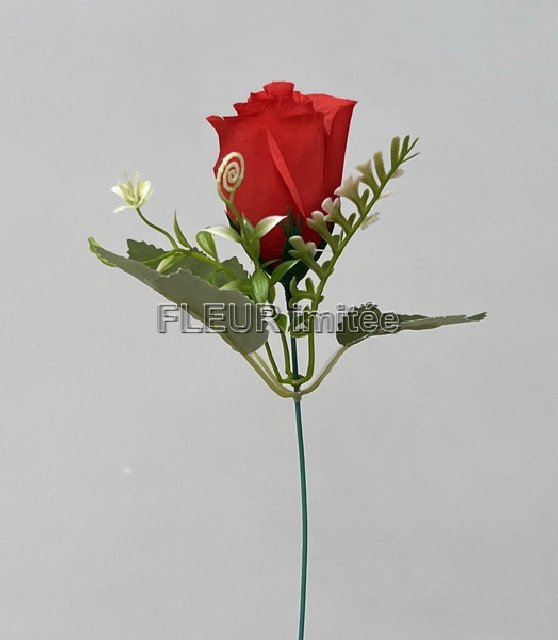 Růže x1  20cm 12/60