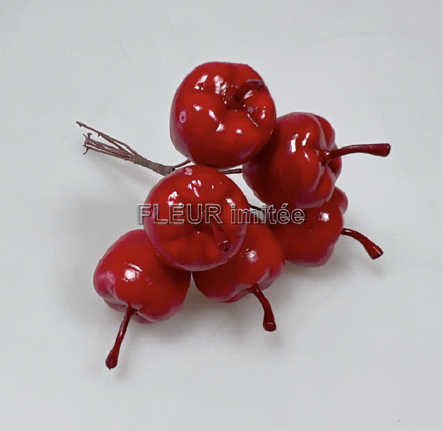 Jablko S6  27mm11cm  12/360