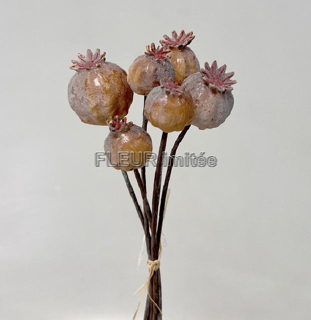 Makovice 3+3 sada6 24cm 1/288