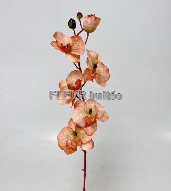 Orchidea 77cm 12/144