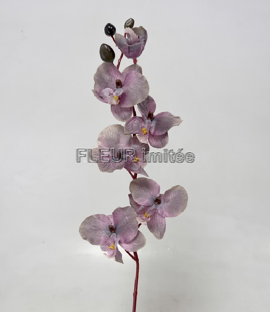  Orchidea 77cm 12/144
