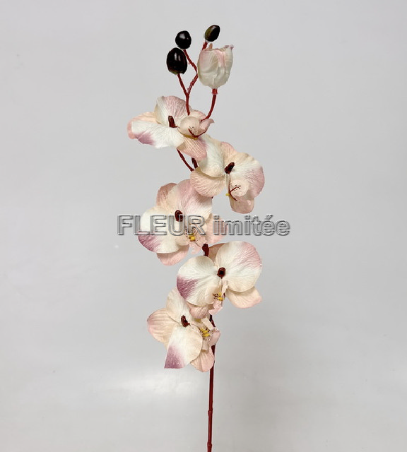  Orchidea 77cm 12/144