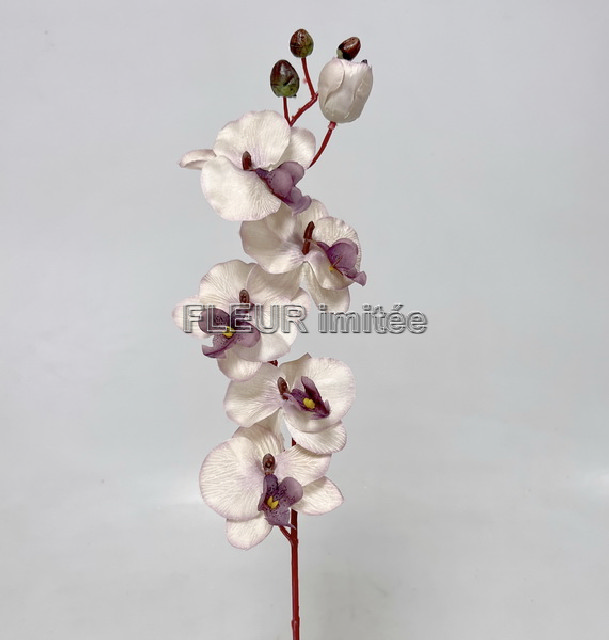  Orchidea 77cm 12/144