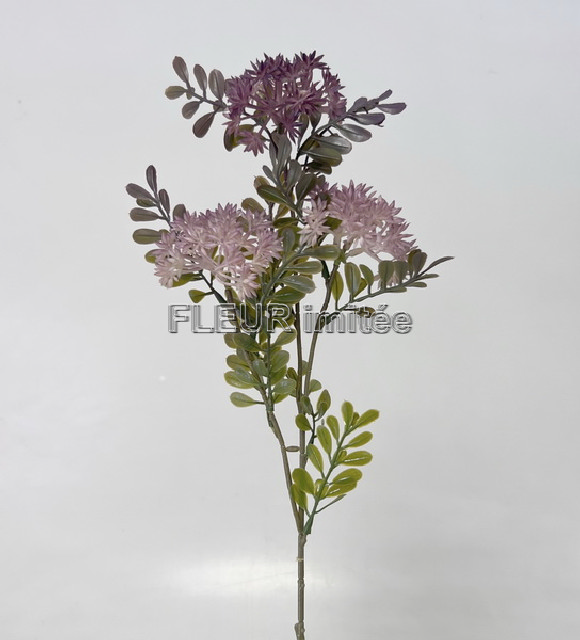 Česnek x3 40cm 24/192