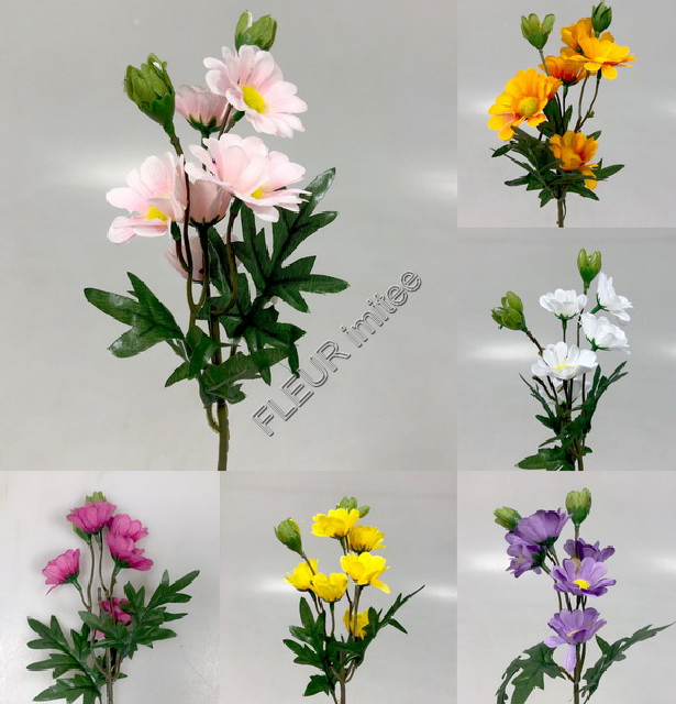 Kopretina mini 40cm 12/72