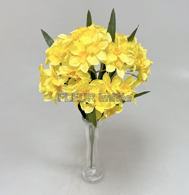 Narcis x5  50cm 48/192