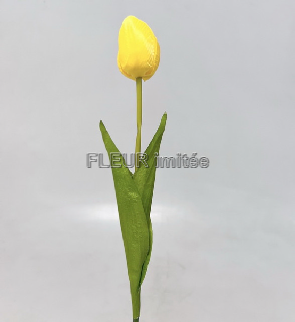 Tulipán x1 53cm 48/480