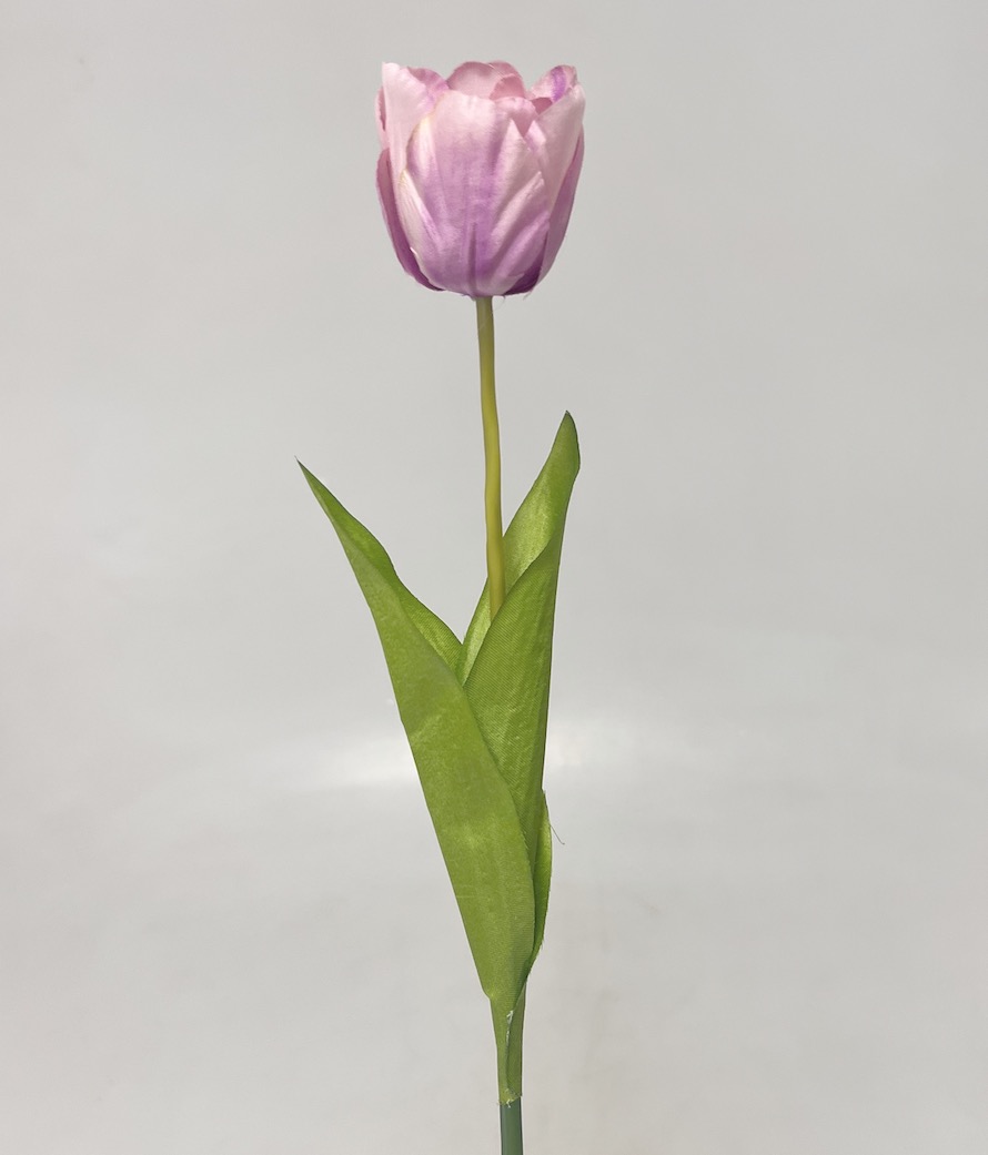 Tulipán x1 54cm 48/480