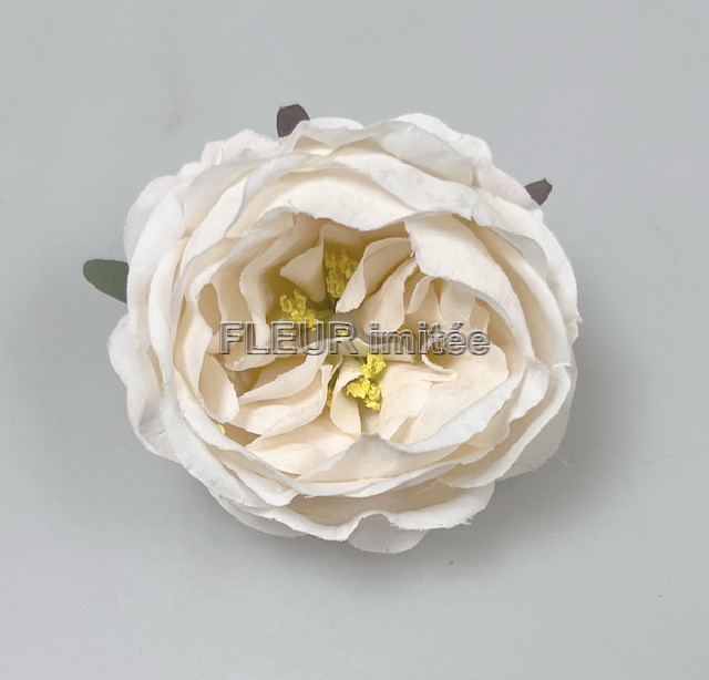 Květ růže ANGEL 7cm 12/720