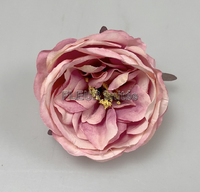 Květ růže ANGEL 7cm 12/720
