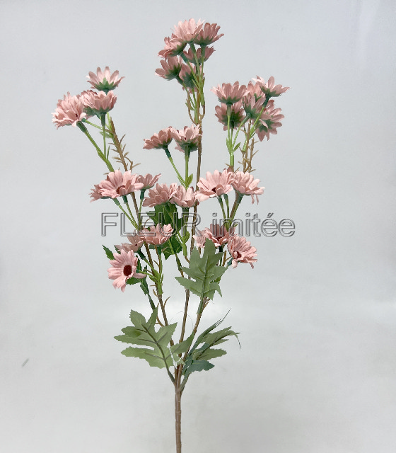 Čekanka 87cm  24/144
