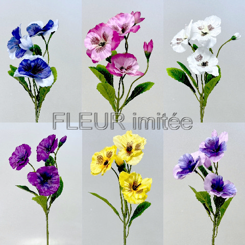 Maceška záp. 43cm 72/576