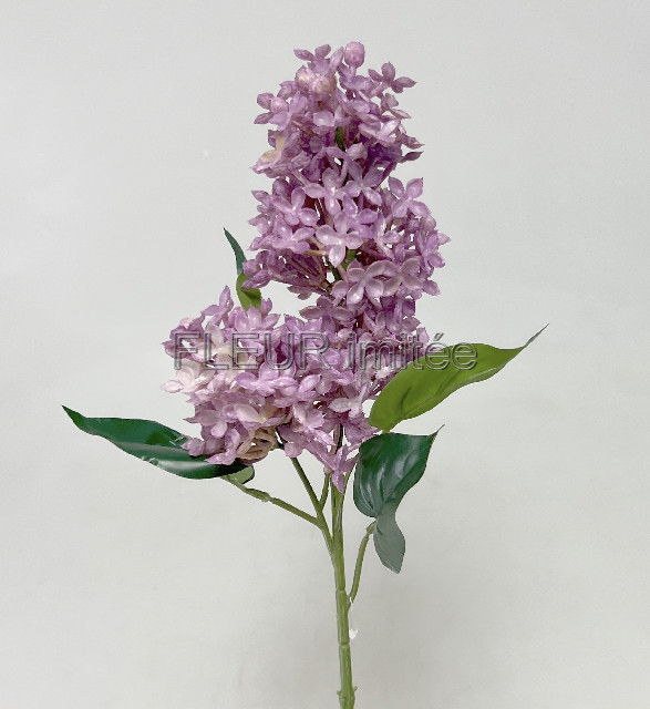 Šeřík x2 68cm latex 12/96