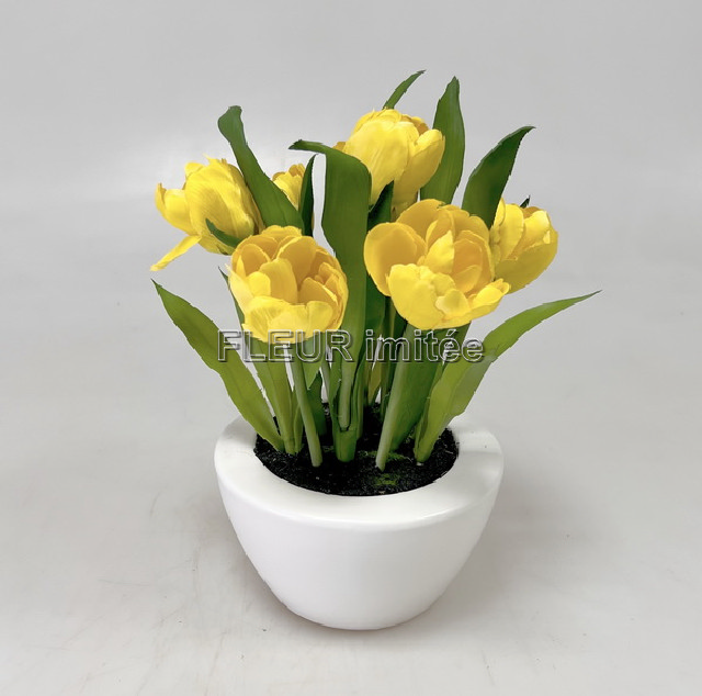 Tulipán x7  v ker.25cm  6/36