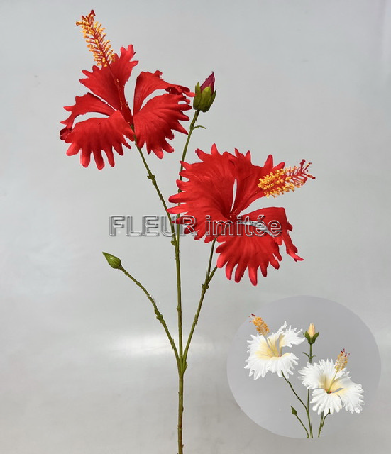 Ibišek x2 65cm 12/144