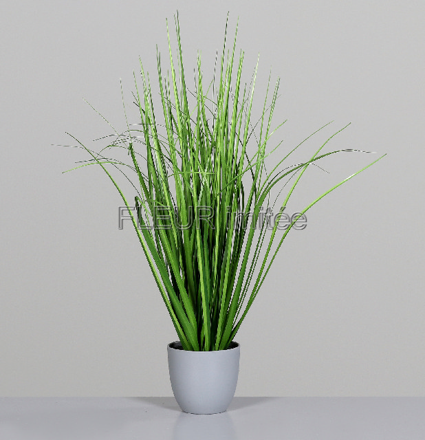 Tráva v květ. 80cm