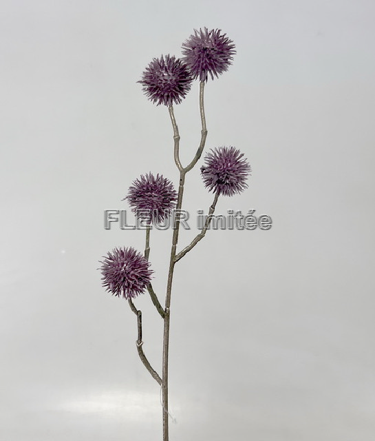 Bodlák x5 53cm 24/288