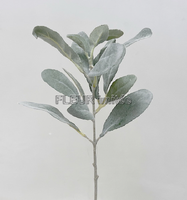 Šalvěj záp. 36cm 36/216