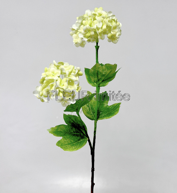 Kalina x2 46cm  36/216