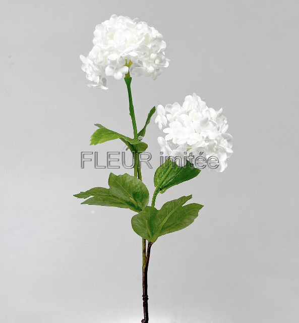 Kalina x2 46cm  36/216