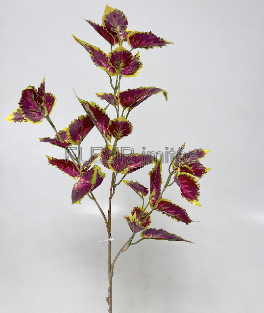 Kopřiva x3 latex 90cm 24/144