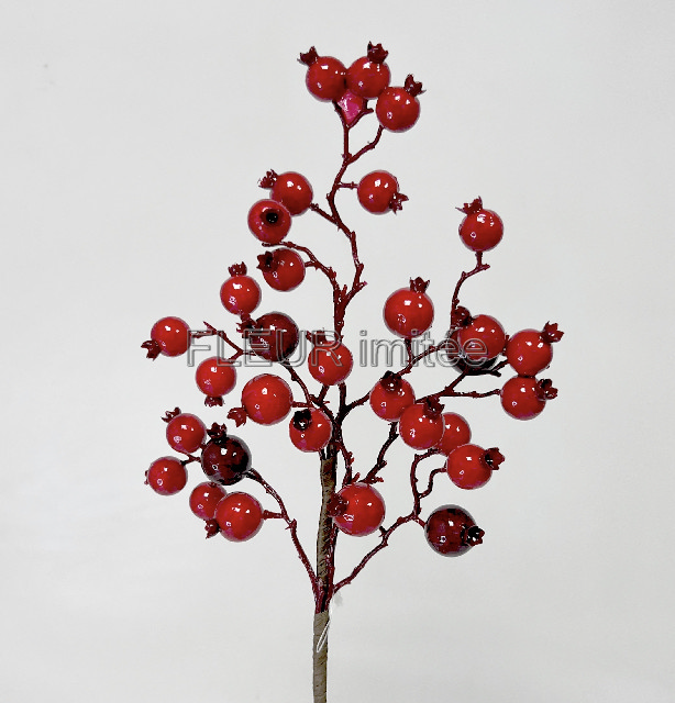 Šípek  44cm  24/168