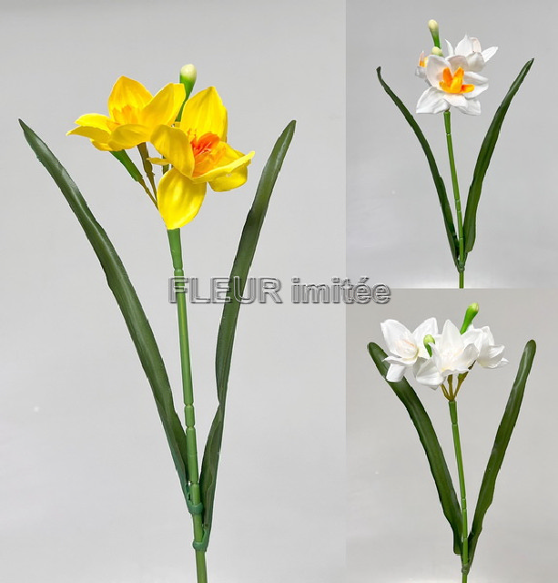 Narcis x3 42cm 12/144
