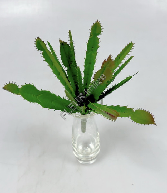 Sukulent 21cm       6/192