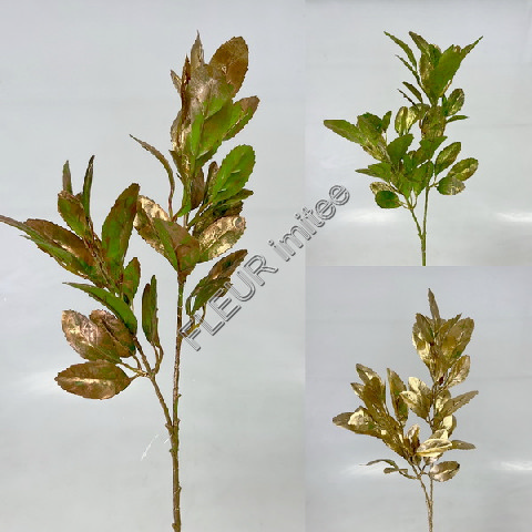 Vavřín ván.x2  75cm 12/144