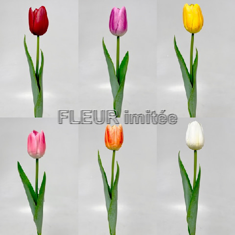 Tulipán 55cm latex  24/240