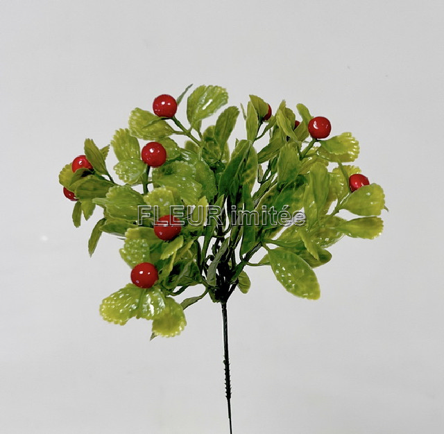 Cesmína 24cm zasněž.12/144