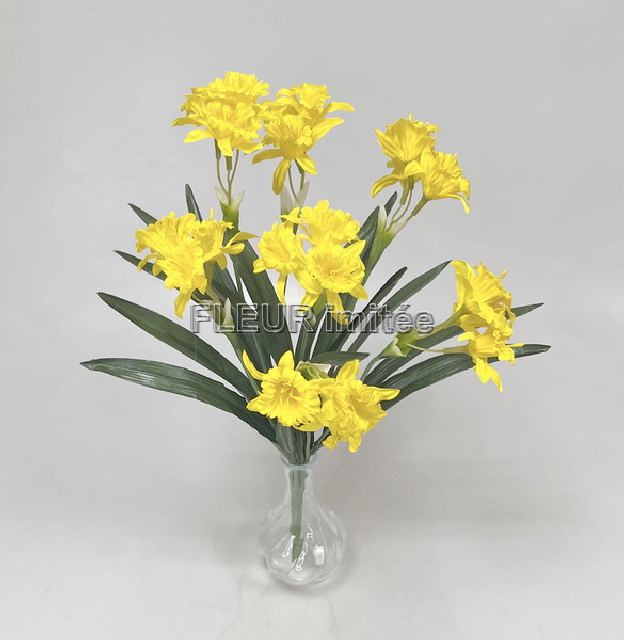 Narcis x7 40cm  2/48