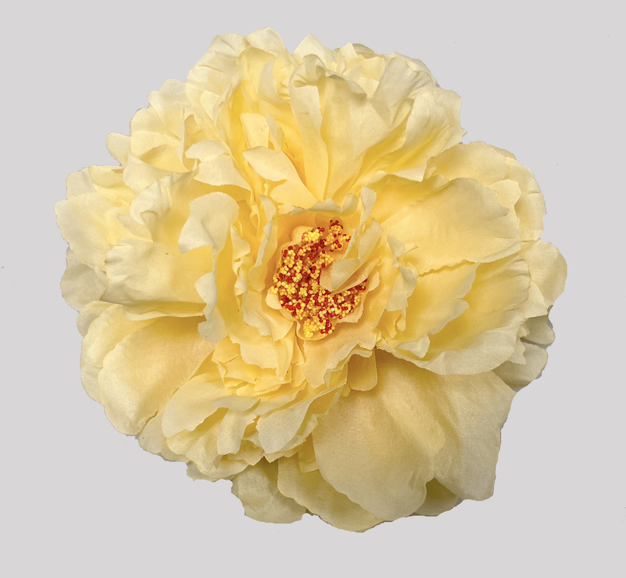 Květ pivoňka 16cm  6/60