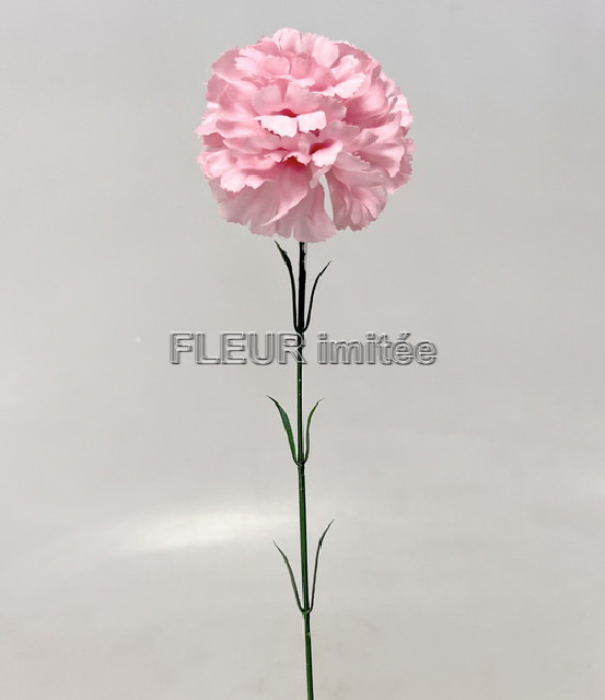 Karafiát x1 56cm 72/864