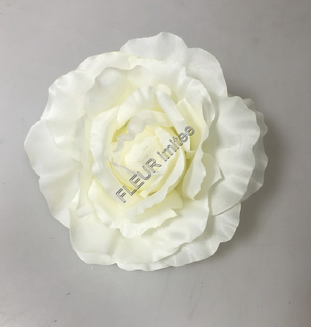 Květ růže XXL  21cm 6/24