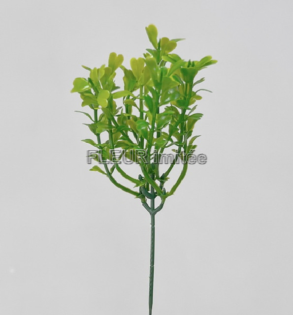 Korpus x 5  38cm 6/36