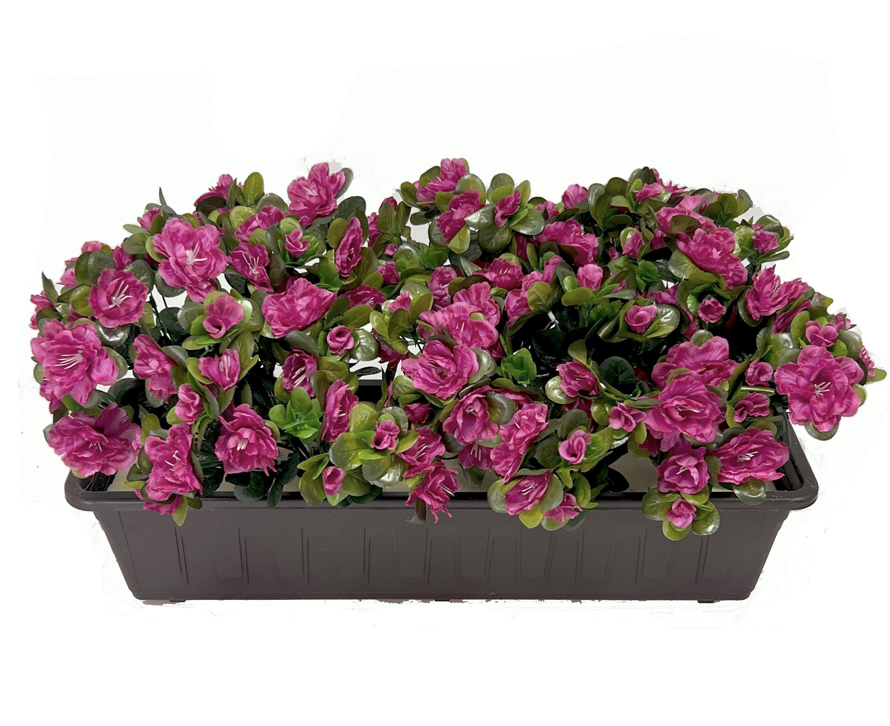 Truhlík azalka 60cm