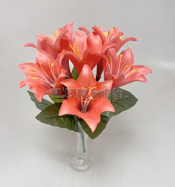 Lilie x6 45cm 12/144