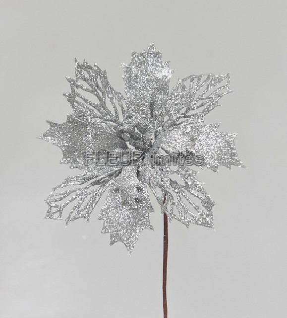 Poinsettia záp.pr.14cm 12/144