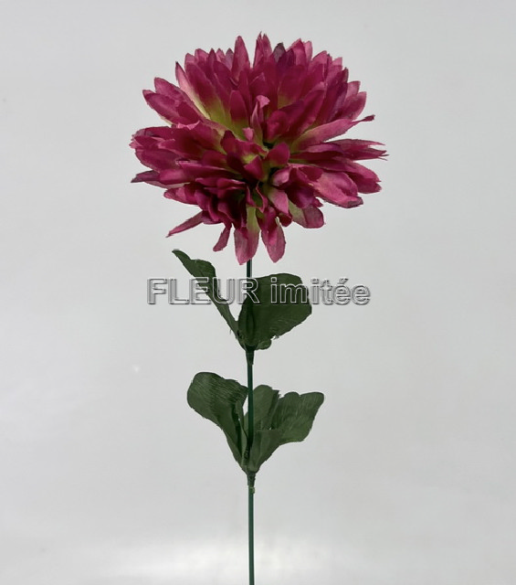 Chryzantéma x1 7cm/45cm   W841 12/144