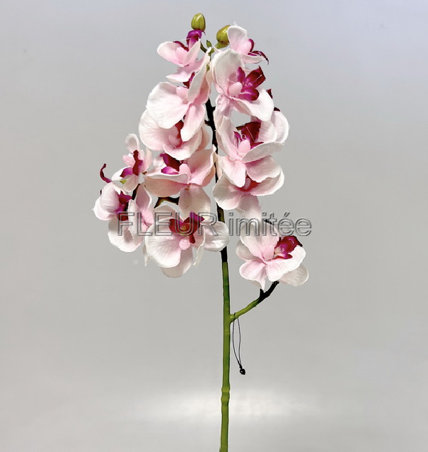 Orchidea x3  55cm 36/360