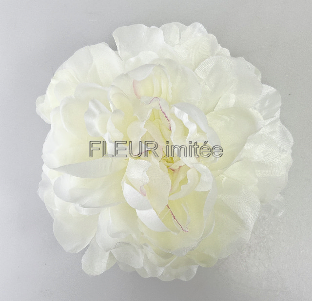 Květ pivoňka 16cm  12/360
